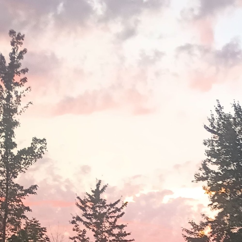 🍂